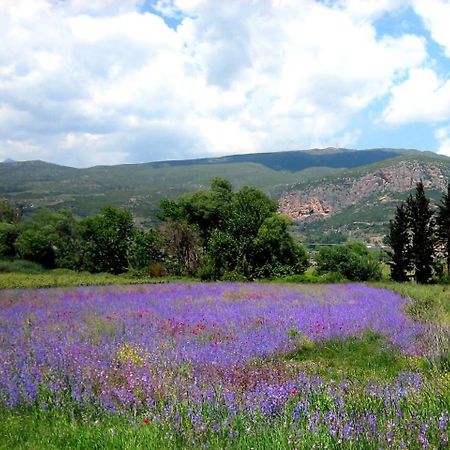 Hotel La Petite Planete Mykines Zewnętrze zdjęcie