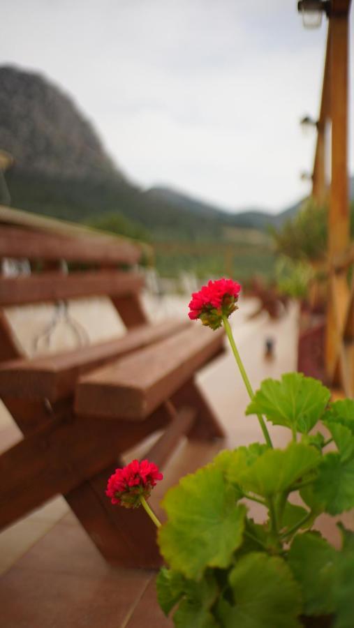 Hotel La Petite Planete Mykines Zewnętrze zdjęcie